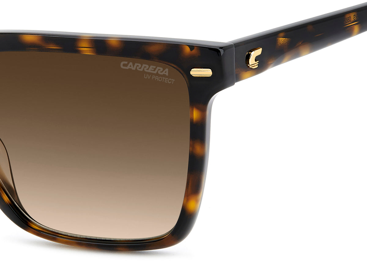 Carrera  3069/S-57-086 HVN HA BROWN SF