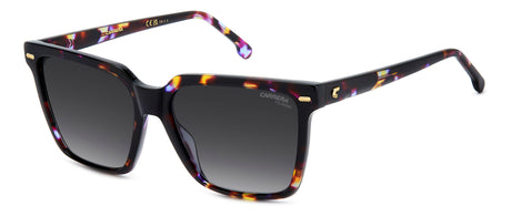 Carrera  3069/S-57-HKZ VLT HVNA WJ GREY SF PZ