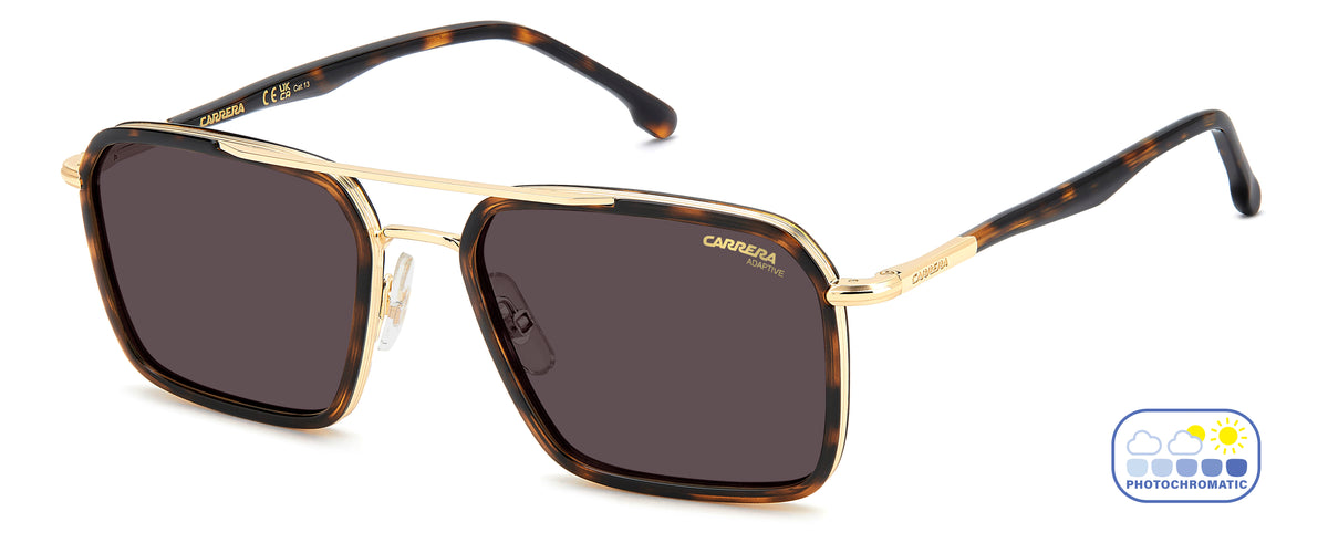 Carrera  362/S-55-2IK HVNA GOLD Q6 ORAN FT AR