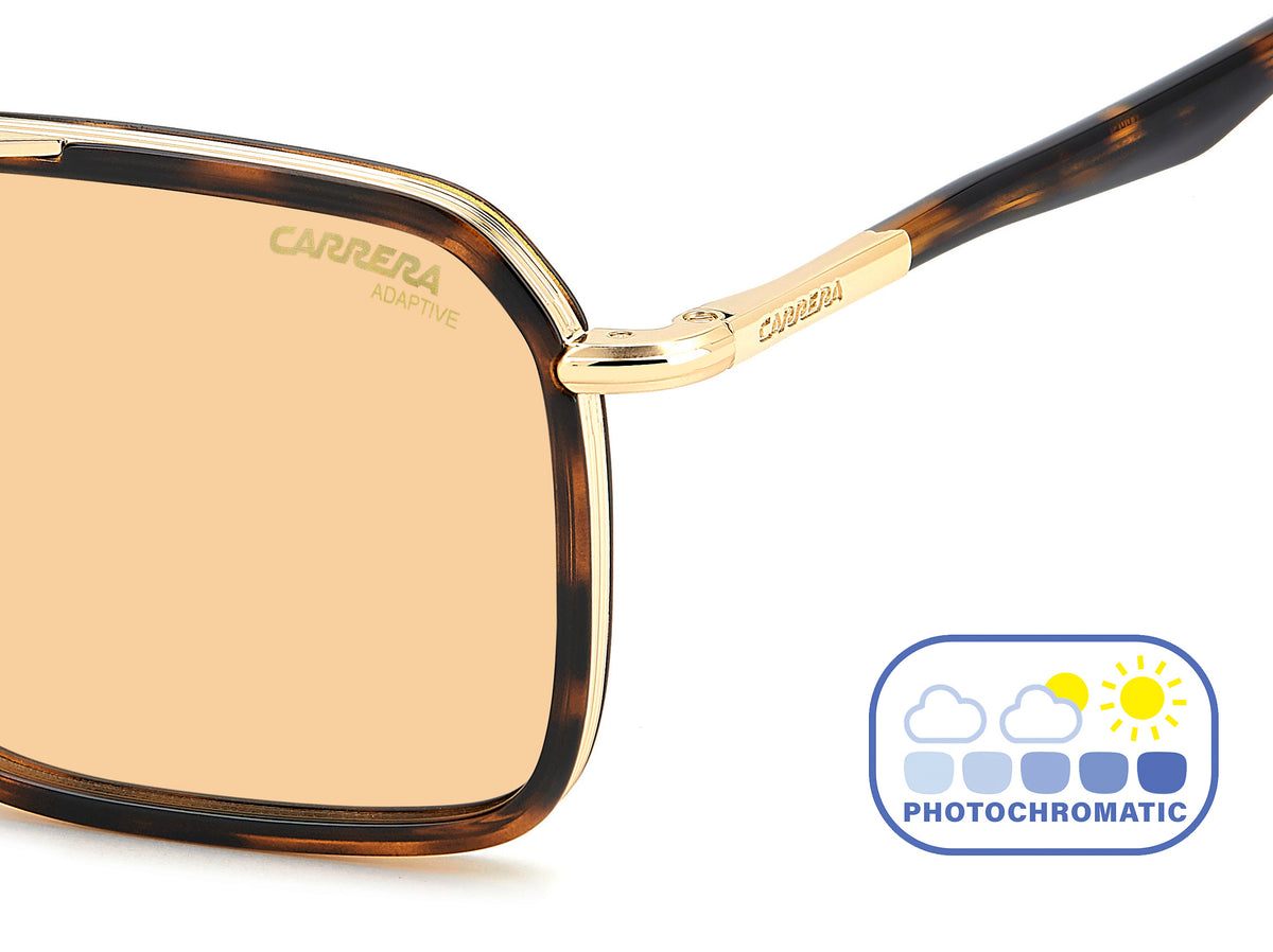 Carrera  362/S-55-2IK HVNA GOLD Q6 ORAN FT AR