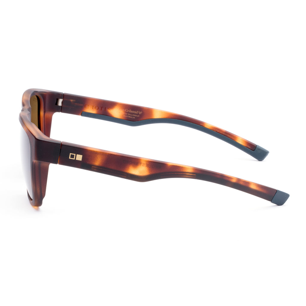 Otis Request Sport : Matte Amberwood Tort/L.I.T Polar Brown 201-2405LL
