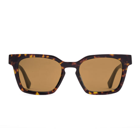 Otis Interlude : Eco Matte Hinton Tort/Brown  203-2501