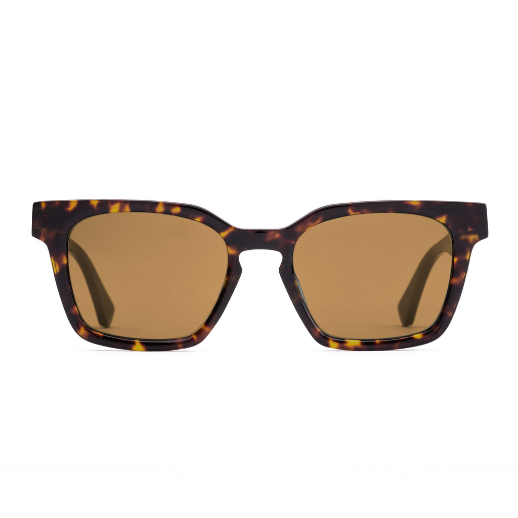 Otis Interlude : Eco Matte Hinton Tort/Brown  203-2501