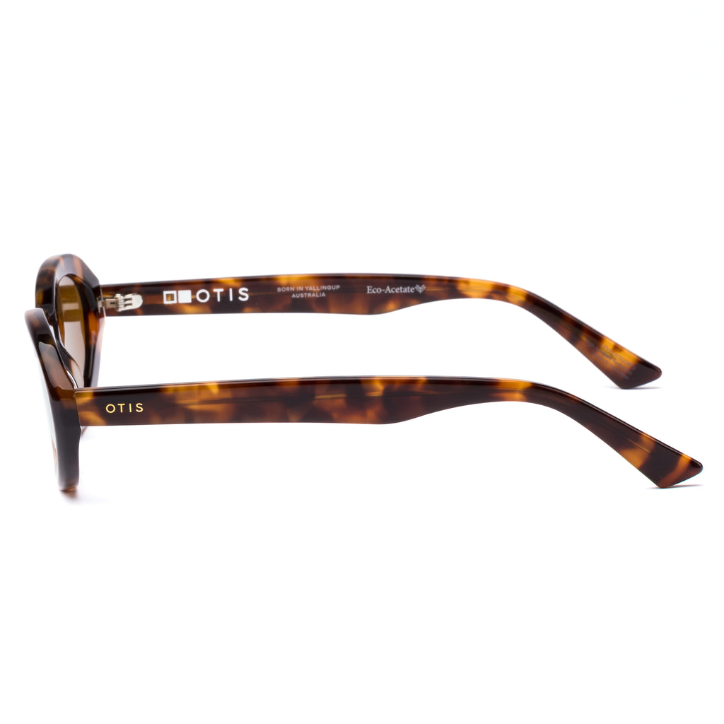 Otis Birdie : Eco Sepia Tort/Brown 208-2503