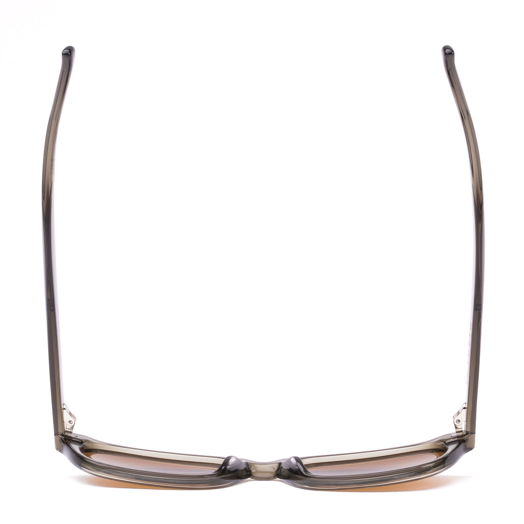 Otis Chorus : Eco Crystal Fern/Brown  210-2503