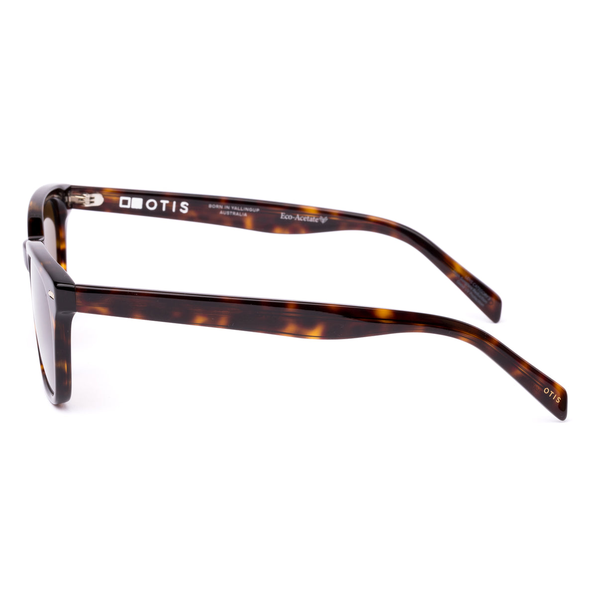 Otis Chorus Eco Havana Ray/ Brown Polar