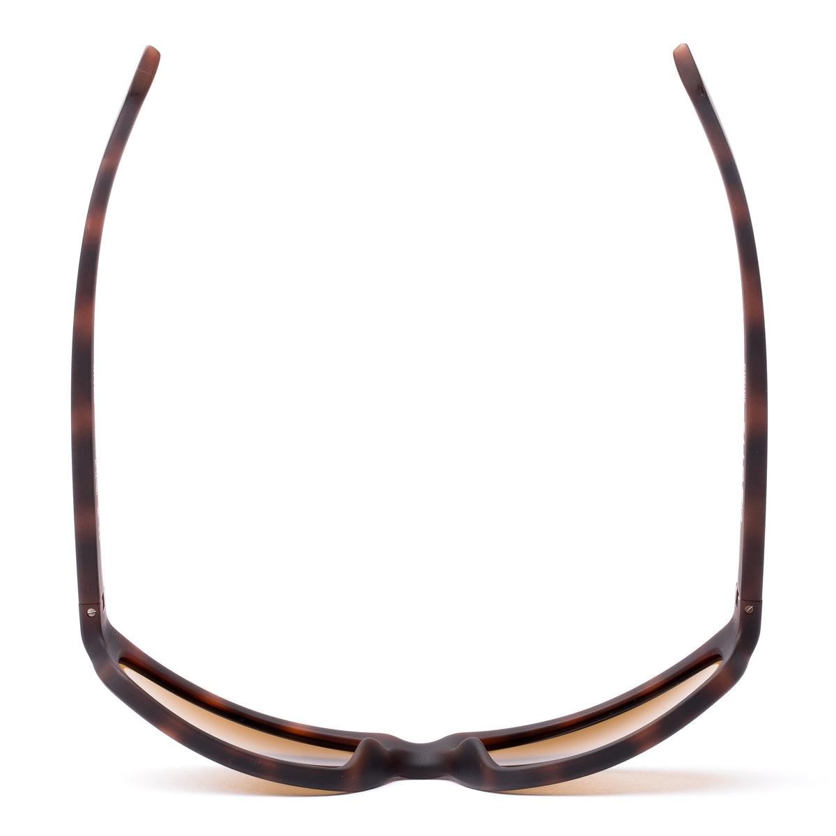 Otis Rival Matte Dusty Tort/ Brown Polar