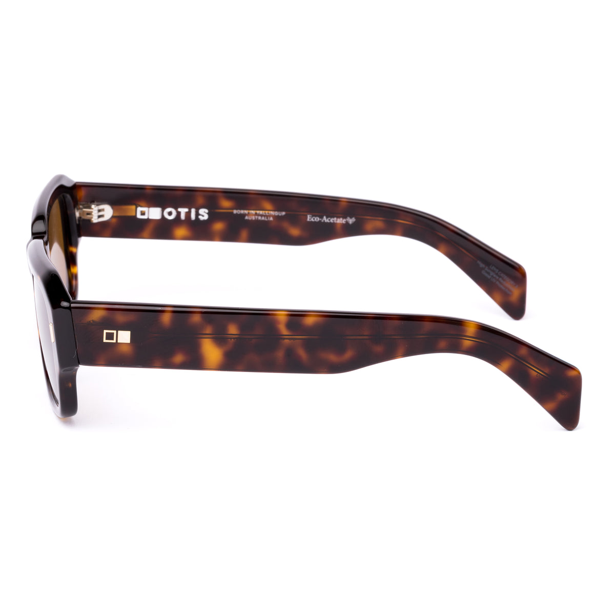 Otis Jam Eco Havana Ray/ Brown