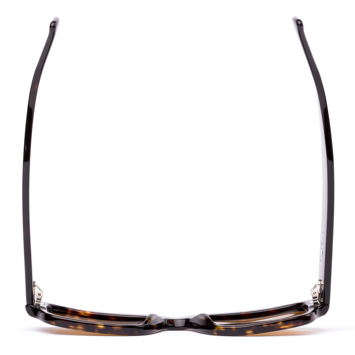 Otis Jam Eco Havana Ray/ Brown