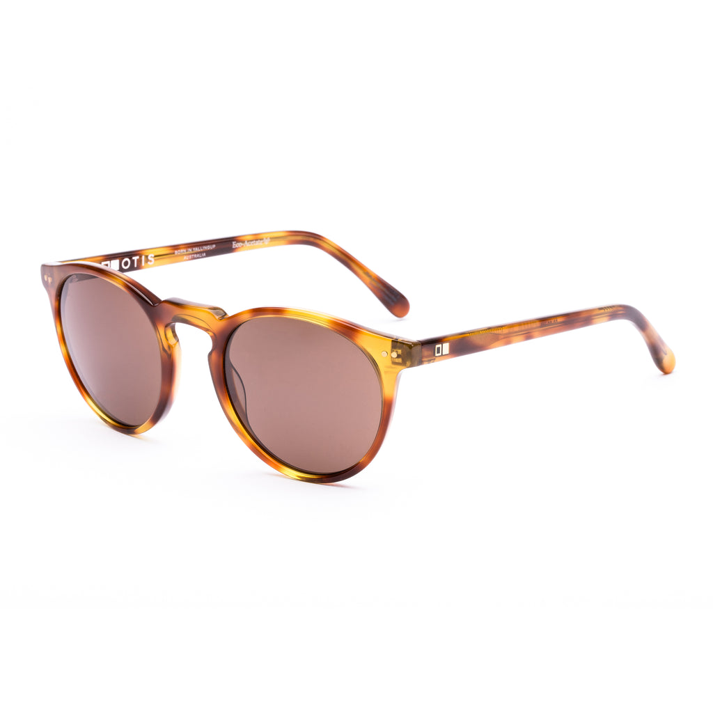 Otis Omar : Eco Havana Zinnia/L.I.T Polar Brown 26-2310Ll