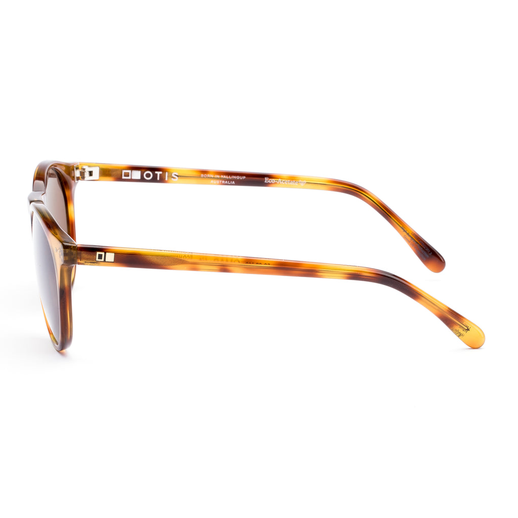 Otis Omar : Eco Havana Zinnia/L.I.T Polar Brown 26-2310Ll