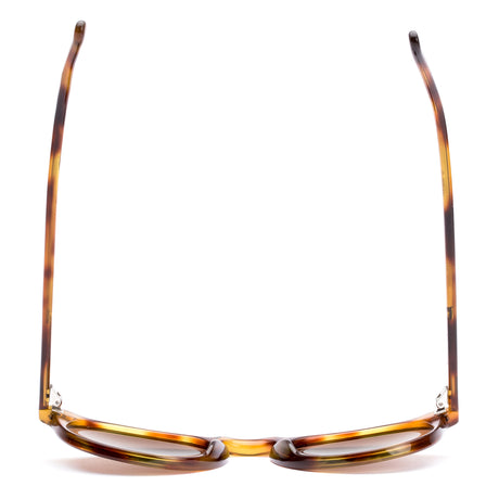 Otis Omar : Eco Havana Zinnia/L.I.T Polar Brown 26-2310Ll