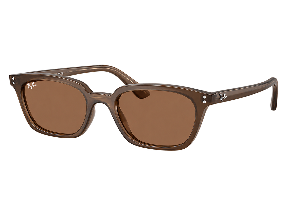 Ray-Ban Zaya RB445667797350 Transparent Brown/ Dark Brown