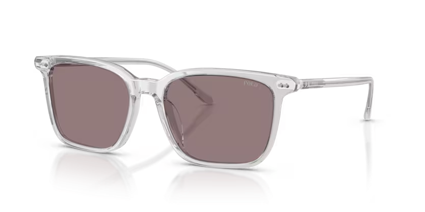 Polo Ralph Lauren 0PH4194U59587N56 Shiny transparent Grey/ Dark purple