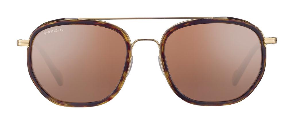 Serengeti Boron SS525001 Bold Gold/Dark Turtoise 56 / Composite