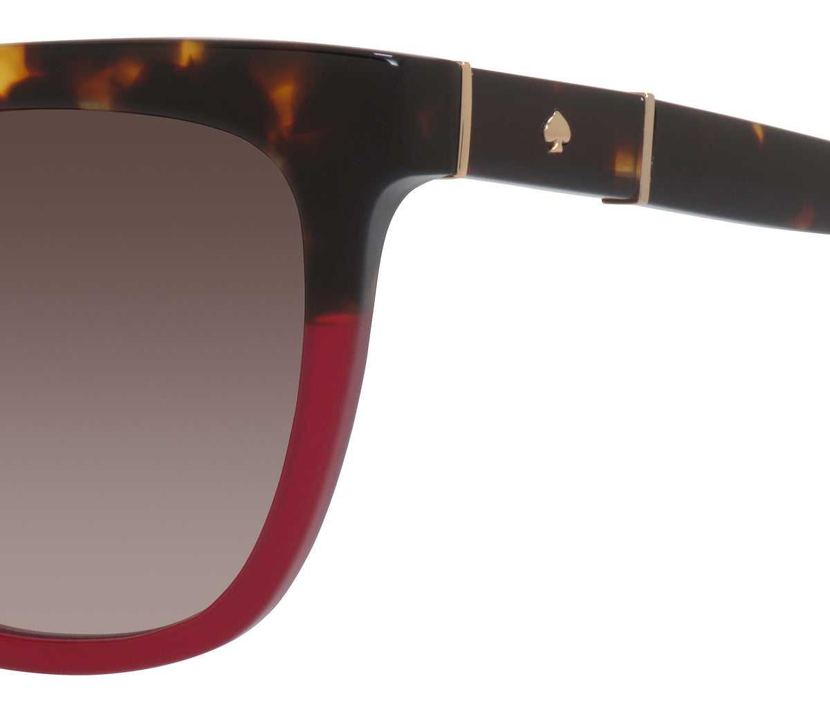 Kate Spade Kahli/S 200685 Havana Burgundy/ Brown Shaded