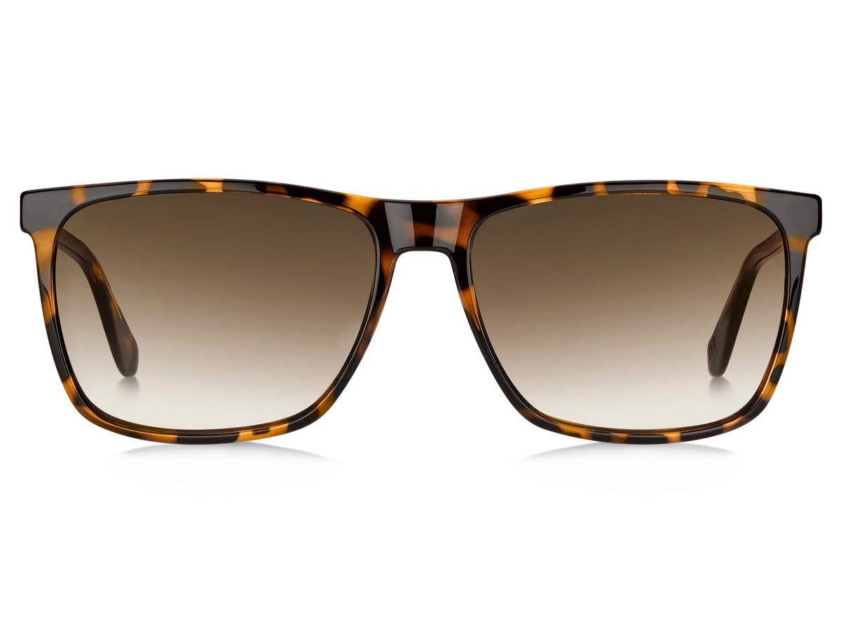 Tommy Hilfiger TH 1547/S Havana/ Brown Shaded