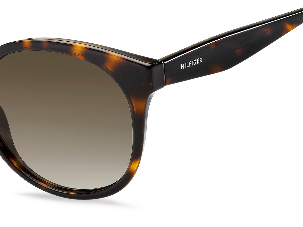 Tommy Hilfiger TH 1482/S Havana Red/ Brown Shaded