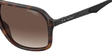 Carrera 8035/S-61-086 HVN LA BROWN SF PZ
