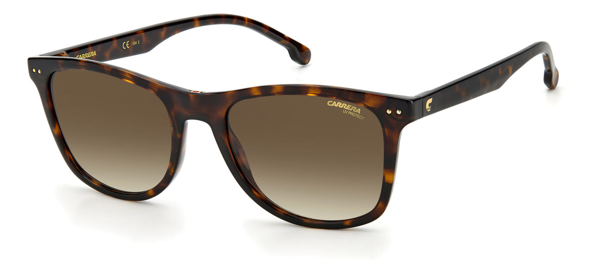 Carrera 2022T/S-51-086 HVN HA BROWN SF