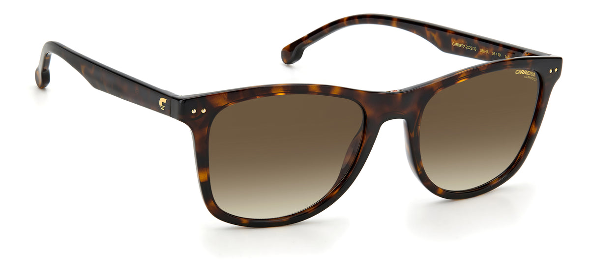 Carrera 2022T/S-51-086 HVN HA BROWN SF