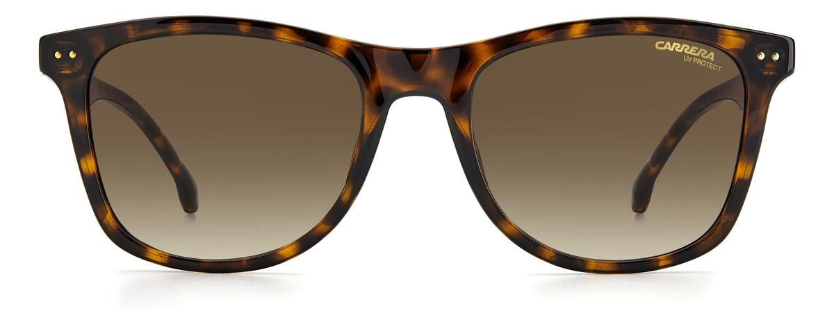 Carrera 2022T/S-51-086 HVN HA BROWN SF