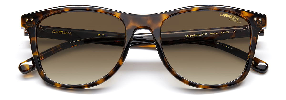 Carrera 2022T/S-51-086 HVN HA BROWN SF