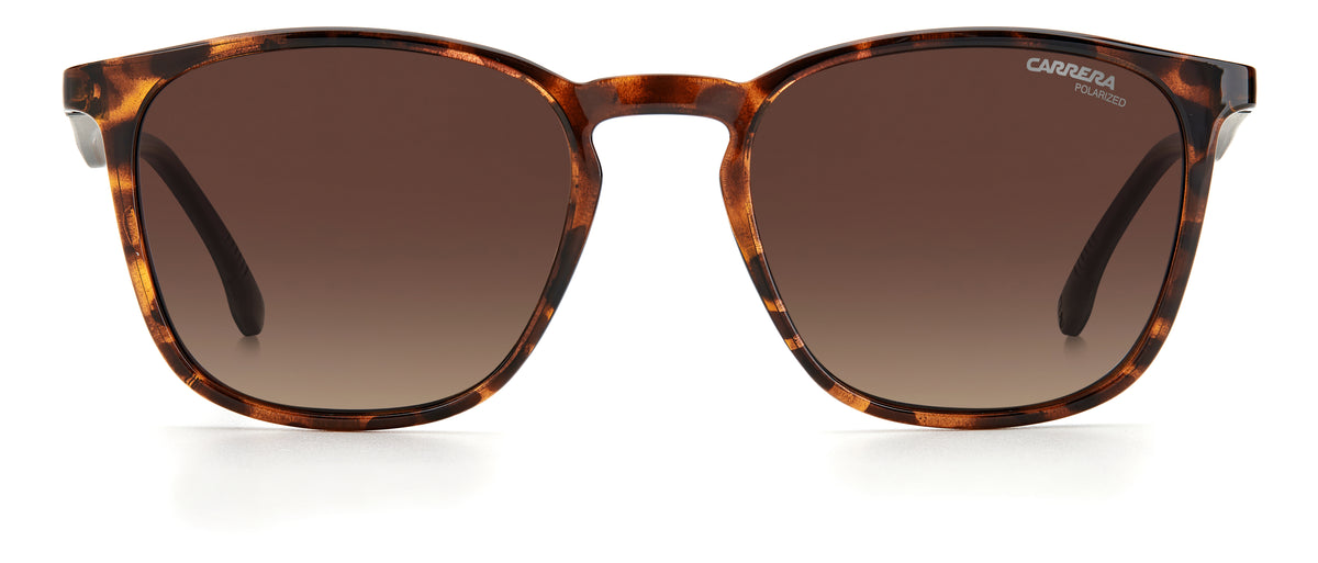 Carrera 8041/S-53-086 HVN LA BROWN SF PZ
