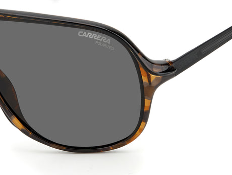Carrera SAFARI65-62-WR9 M9 BRW HAVAN