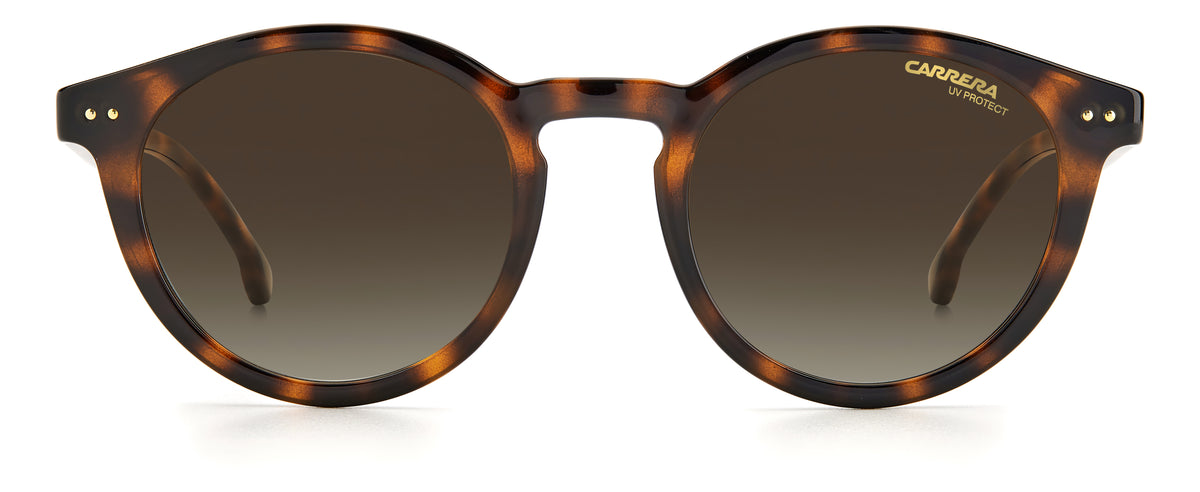 CARRERA 2029T/S-47-086 HVN HA BROWN SF