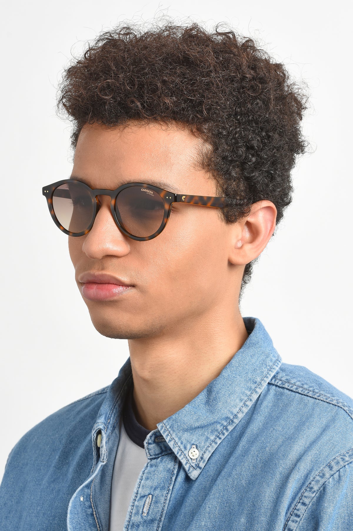 CARRERA 2029T/S-47-086 HVN HA BROWN SF