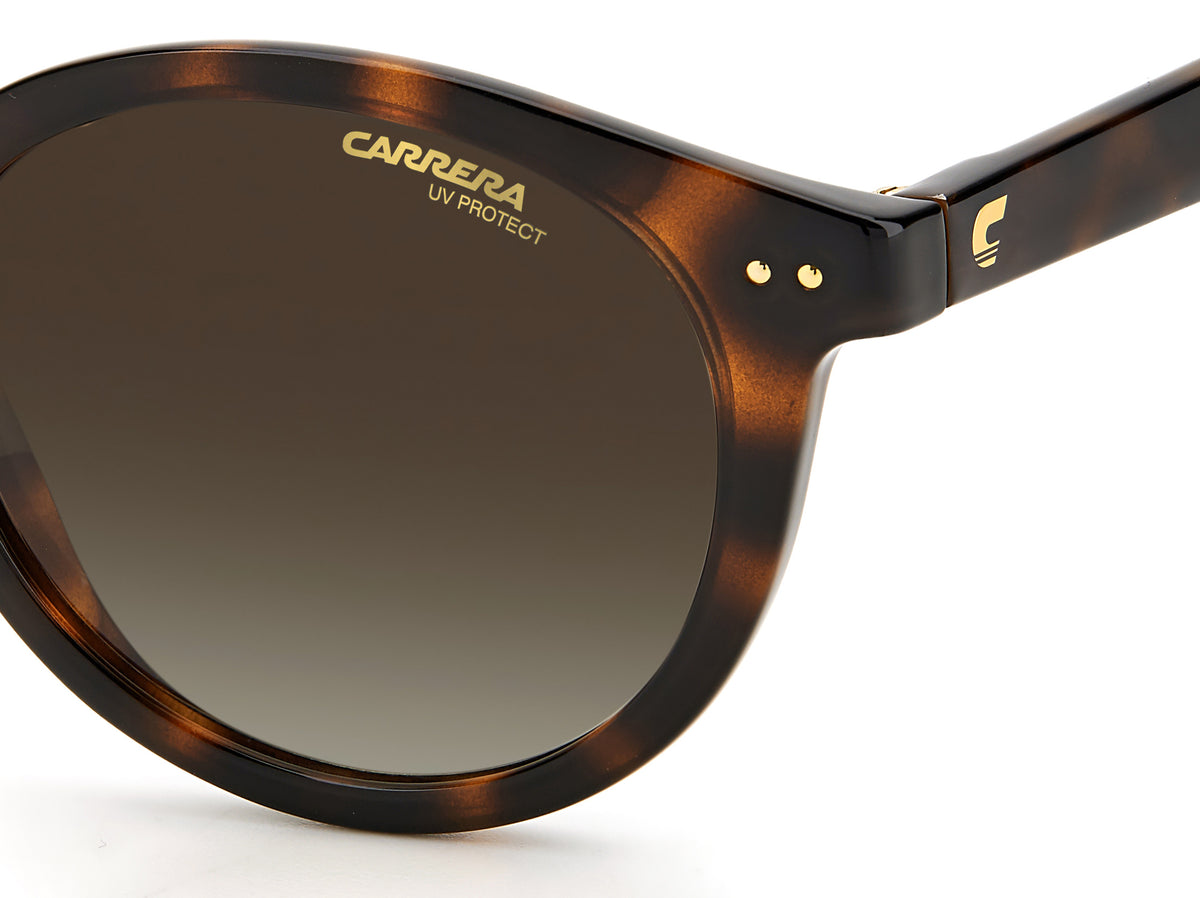 CARRERA 2029T/S-49-086 HVN HA BROWN SF