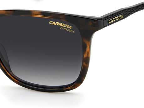 CARRERA 261/S-53-086 9O HVN
