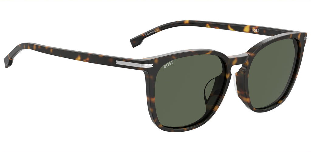 BOSS 1668/F/SK Havana/ Green