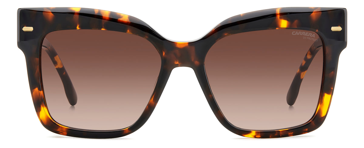 Carrera 3037/S-54-086 HVN HA BROWN SF