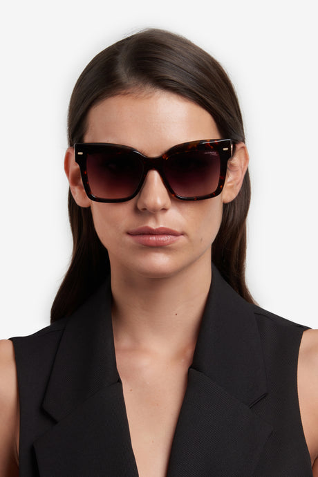 Carrera 3037/S-54-086 HVN HA BROWN SF