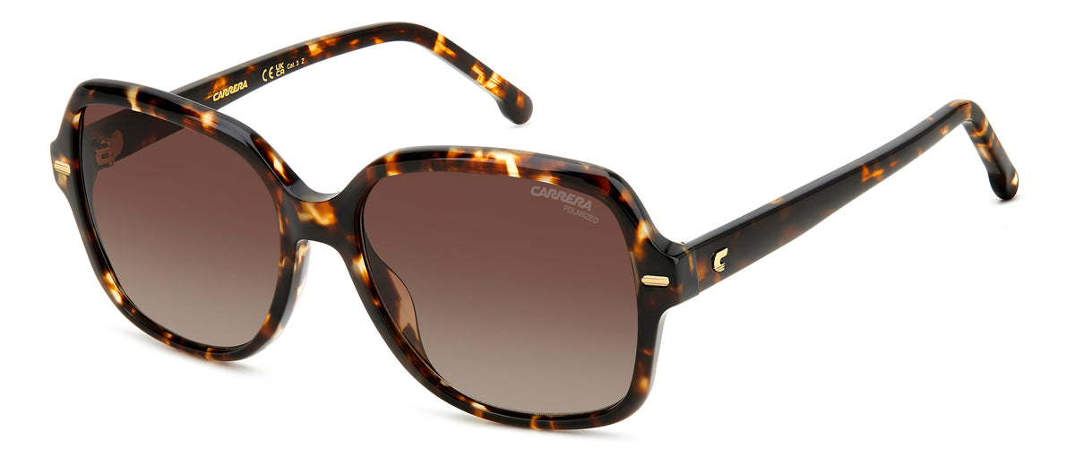 Carrera 3028/S-55-WR9 LA BRW HAVAN
