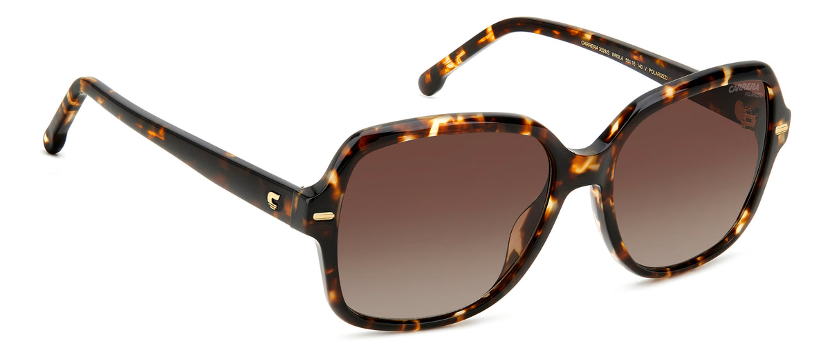 Carrera 3028/S-55-WR9 LA BRW HAVAN