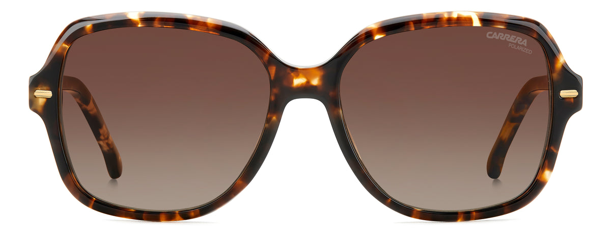 Carrera 3028/S-55-WR9 LA BRW HAVAN