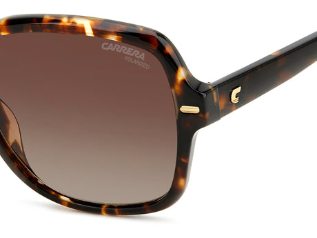 Carrera 3028/S-55-WR9 LA BRW HAVAN