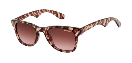 CARRERA 6000-50-864 HAVBLUSH M2 BROWN PINK SF