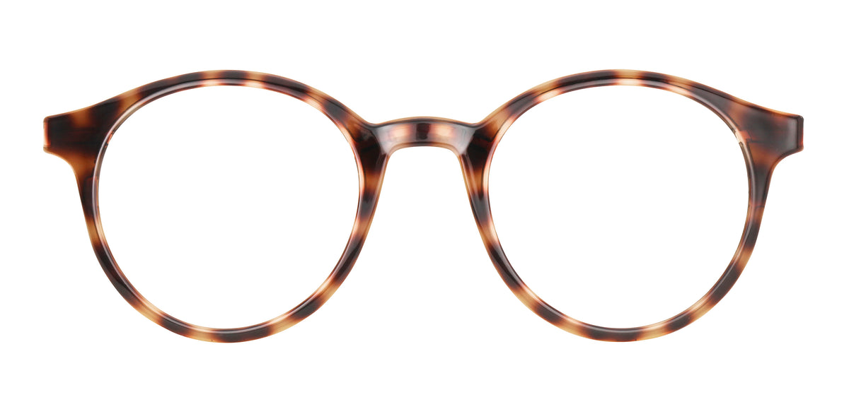 Carrera 5022COV-49-DWJ HAVANA