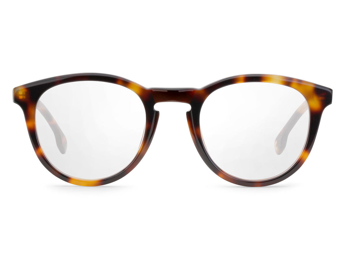 CARRERA 136/V-49-SX7 LT HAVANA