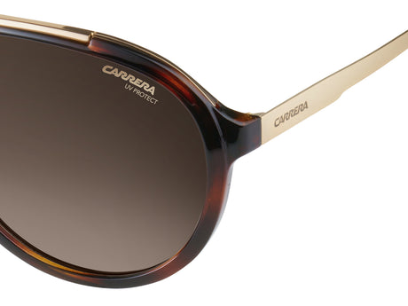 Carrera 1003/S-58-2IK HVNA GOLD HA BROWN SF