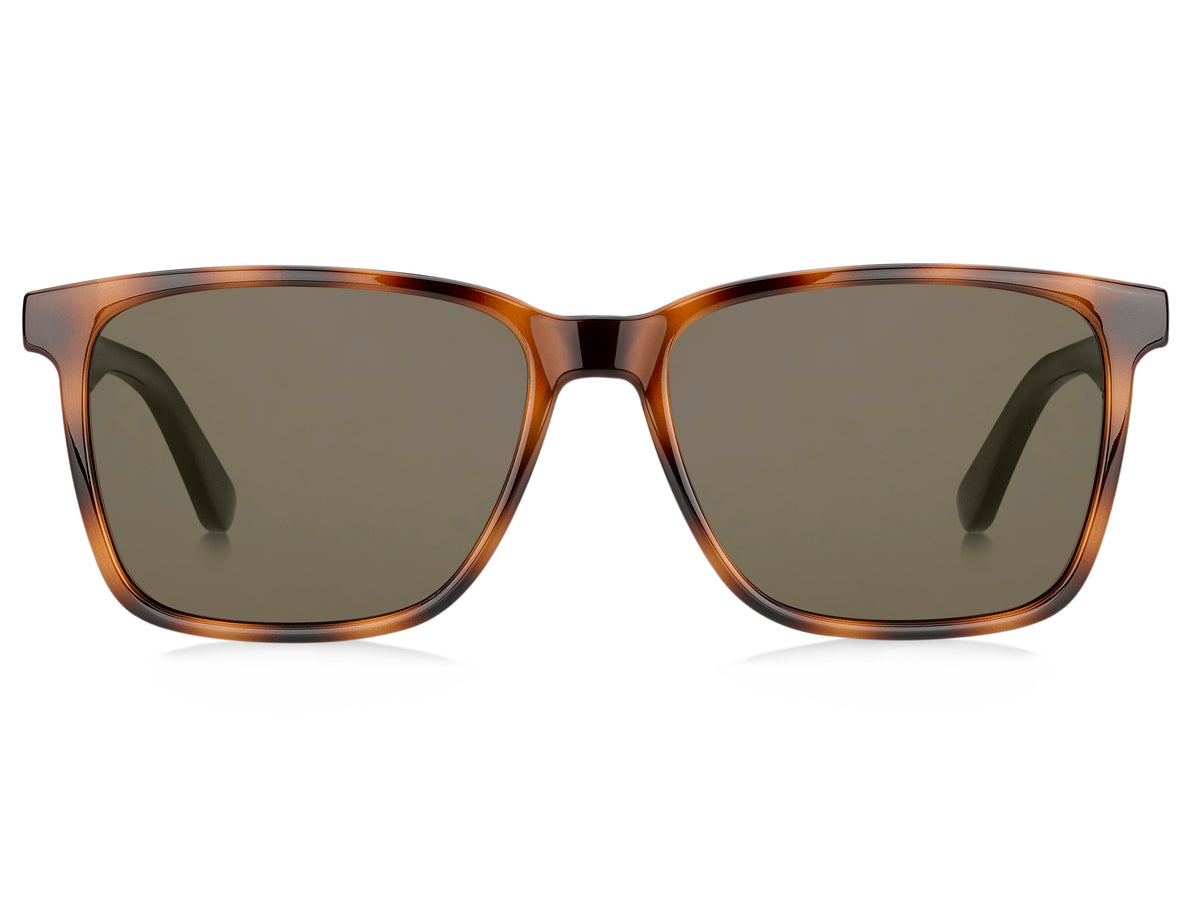 Tommy Hilfiger TH 1486/S Havana Brown/ Brown  Lens