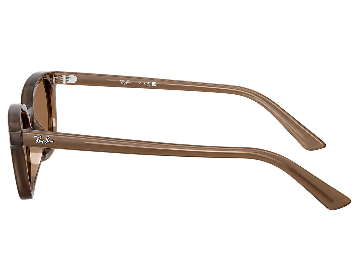 Ray-Ban Zaya RB445667797350 Transparent Brown/ Dark Brown