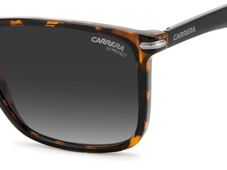 CARRERA 298/S-57-086 9O HVN