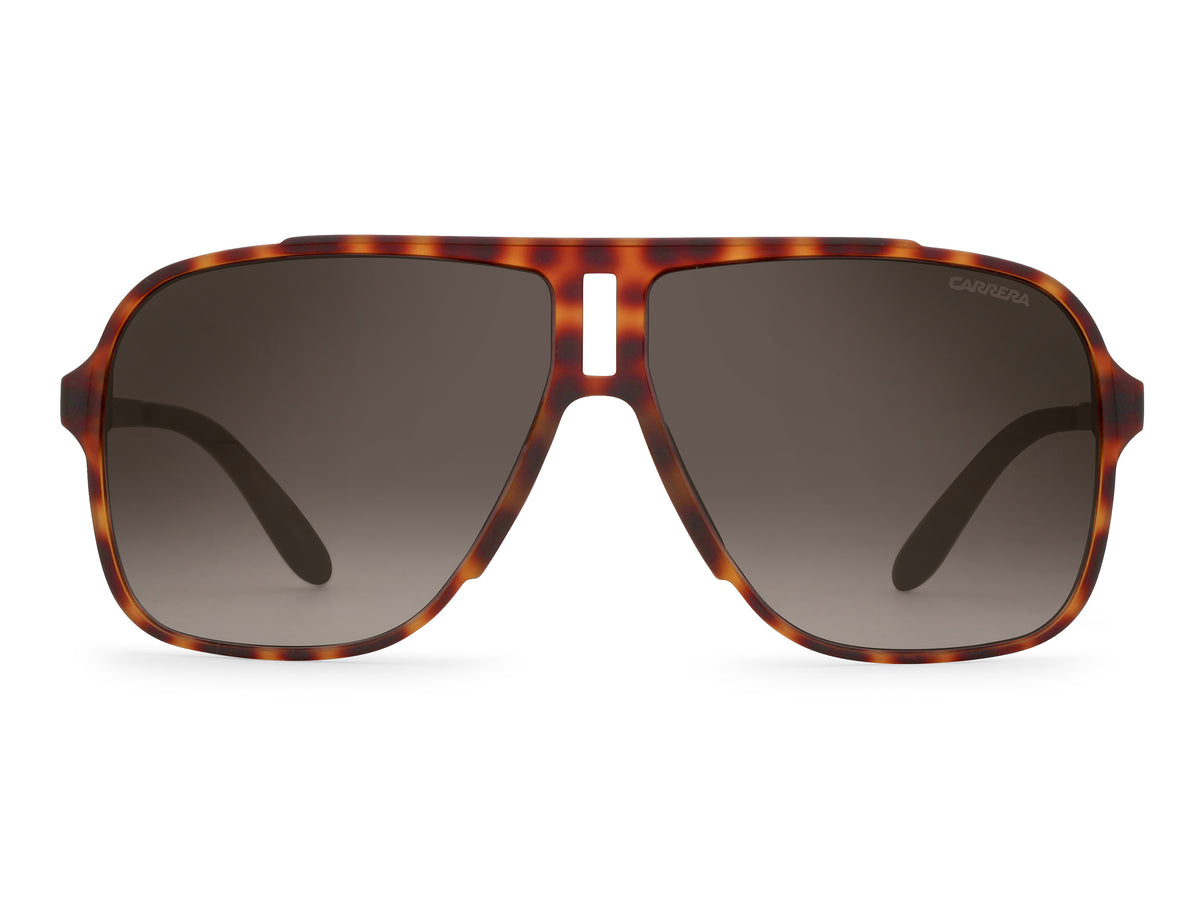 CARRERA 122/S-61-L2L HVNA BLCK HA BROWN SF