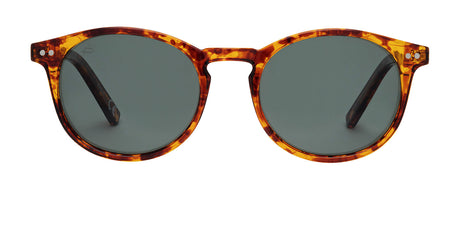 Prive Rivaux  Maestro M/S-49-C9B Havana Honey/ Green Polarized