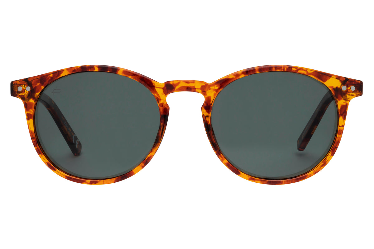 Prive Rivaux  Maestro Mx/S-52-C9B Havana Honey/ Green Polarized